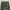 Polo Ralph Lauren Military Woodland camo photo 2