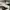 Polo Ralph Lauren Military Woodland camo photo 10