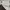 Polo Ralph Lauren Military Woodland camo photo 9