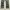 Polo Ralph Lauren Military Woodland camo photo 3