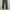 Polo Ralph Lauren Military Woodland camo photo 1