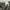 Polo Ralph Lauren Military Woodland camo photo 8