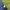 Kangol Streetwear Formal pants Pria navy photo 4