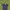 Kangol Streetwear Formal pants Pria navy photo 1