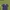 Kangol Streetwear Formal Pants Pria Navy