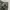 Polo Ralph Lauren M65 Utility Military Camouflage photo 3