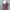 Mango Suit Women Maxi Dress  photo 4