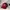 New Balance x USA National Soccer Team 9forty trucker caps photo 2