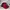 New Balance x USA National Soccer Team 9forty trucker caps photo 3