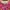 Coquette Crop top Wanita pink photo 3