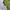 Uniqlo Streetwear Casual Polo shirt Pria silver photo 4
