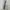 Converse Streetwear Casual Sweatpants & Joggers Pria khaki photo 4