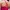 Lululemon Energy Bra Medium Support Evolve XS