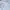 [BARU 100%] Atasan Blus Brokat Putih Sabrina - Merek La Bell photo 2