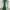 Shein Minimalist Casual Skirt Wanita green photo 5