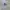 FUBU Vintage Y2K Hat Pria gray photo 1