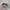 FUBU Vintage Y2K Hat Pria gray photo 4