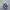 FUBU Vintage Y2K Hat Pria gray photo 3