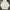Uniqlo Indie Casual Jumper Pria white photo 1