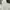 Uniqlo Indie Casual Jumper Pria white photo 4