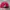 New Era Vintage Streetwear Hat Pria red photo 6