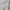 Japanese brand Grunge Avant Garde Short Pria white photo 6