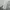 Japanese brand Grunge Avant Garde Short Pria white photo 4