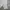 Japanese brand Grunge Avant Garde Short Pria white photo 2