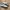 Adidas Casual Sneakers Wanita white photo 1