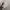 Y2K Cadhet Hats Moosejaw Broken white colour photo 1