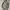 Vintage avirex broader wings faded jacket photo 7