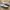 Adidas Casual Sneakers Wanita tan photo 1