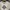 Neighborhood NBHD Durable Work Products t shirt photo 2