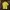 BURBERRY London Authentic Signature Logo Mustard Poloshirts photo 2