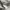 Vivastudio  photo 6