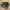 Adidas Casual Sneakers Pria black photo 1