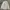 Timberland Luxury Minimalist Formal Shirt Pria Pink
