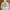 Buckaroo Original Vintage White Graphic Zip-Up Hoodie Jacket photo 4