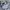 Nike Streetwear Casual Short Pria gray photo 6