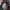 Topi Flat Cap DOCKERS Original - Navy Blue photo 8