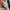 Y2k Grunge Emo Strange Heaven Japan Long Sleeve Vkei style photo 6