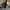 Y2k Grunge Emo Strange Heaven Japan Long Sleeve Vkei style photo 8