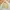 M-65 SPAO Jacket Multipocket Army Fashion