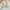 M-65 SPAO Jacket Multipocket Army Fashion photo 7