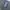 Vest Rompi Tactical  photo 4