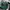 Streetwear Sweatshirt Pria green photo 1