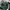 Streetwear Sweatshirt Pria Green