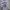 DODGERS JERSEY ENHYPEN SUNGHOON LOONG SLEEVE  photo 1