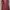 ERE Maroon Long Cardigan Blouse - Size M photo 2