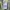 Né-net Cardigan Japanese Designer Fairy Kei Mori Girl photo 5